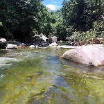 Pedaco Do Paraiso
